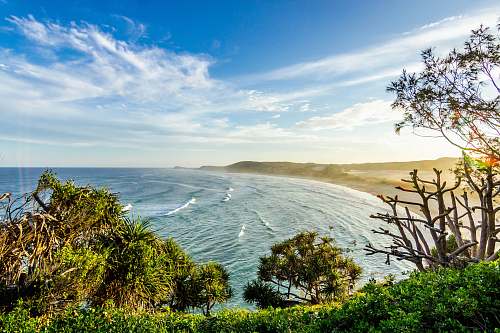 nature landscape photograph of trees near sea landscape