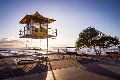 tree empty lifeguard house surfers paradise