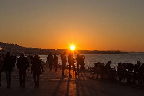 human silhouette of people on seashore person