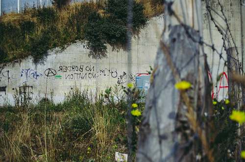 calais gray concrete wall beside grass algae