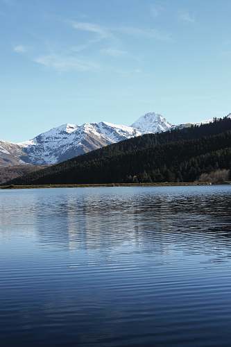 outdoors lake in forest water