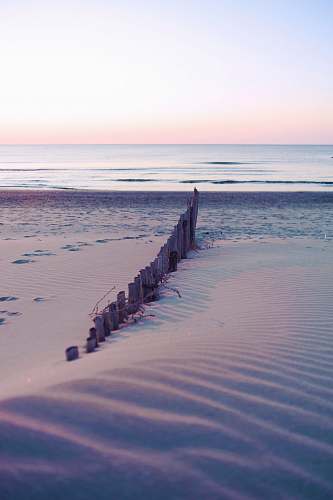 water brown wooden fence on seashore at daytime nature