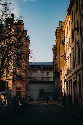 person cars parked on side of alley human