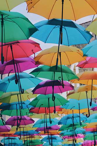 canopy assorted colored umbrellas bordeaux