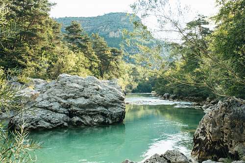 outdoors lake between forest nature