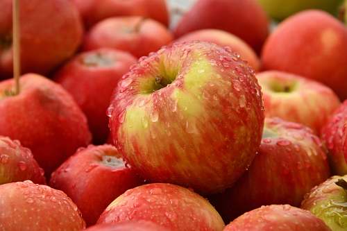 food red apple fruit plant