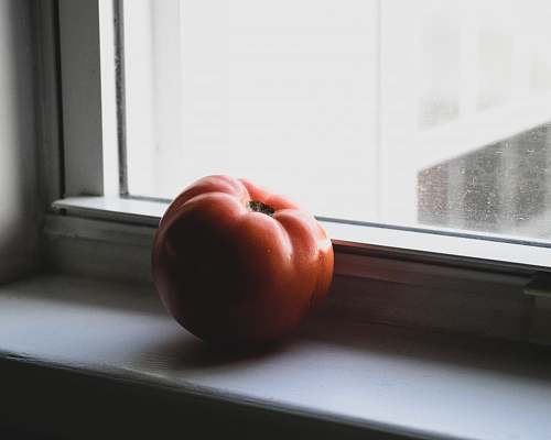 food red tomato fruit