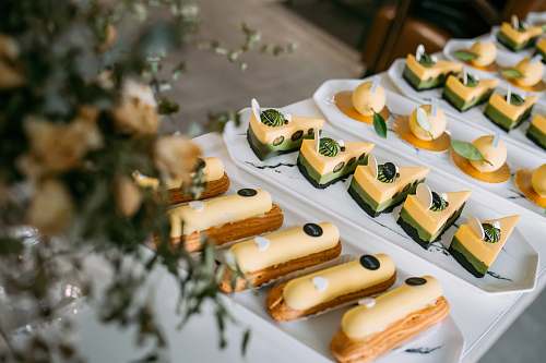 plant cheese cake on plate hot dog