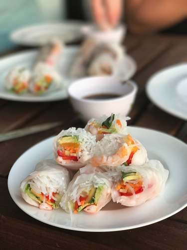 meal spring rolls on plate dish