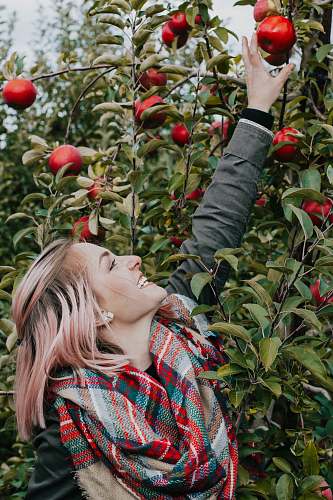 person man wearing scarf reaching fruit people