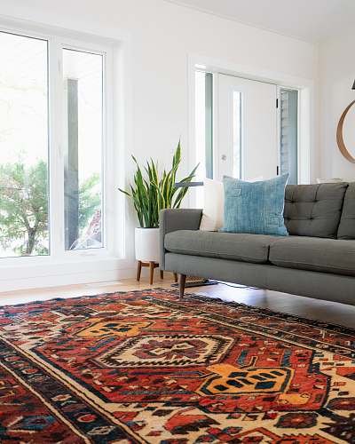 carpet teal 2-seat couch and red area rug home decor
