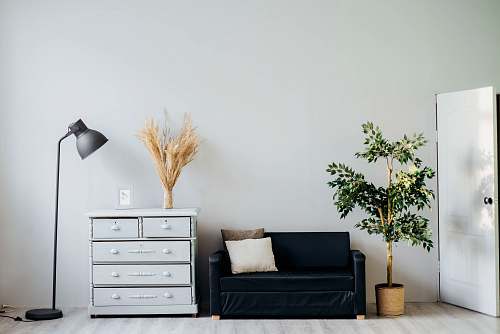 furniture dresser beside sofa tree