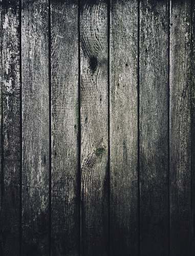 hardwood wooden planks greyscale photography grey
