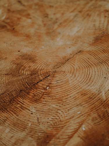 lumber  plywood