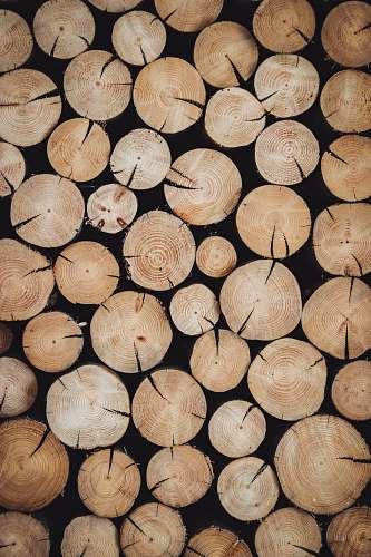 lumber brown wood log lot rug