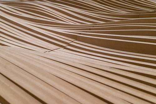 pattern brown woods wood pattern