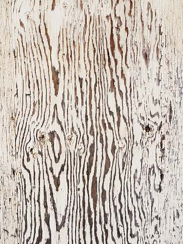 texture close up photography of brown wooden surface pattern