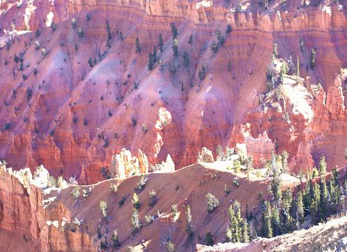 green trees over the mountain during daytime