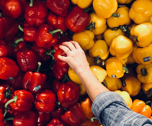 person holding bell pepper