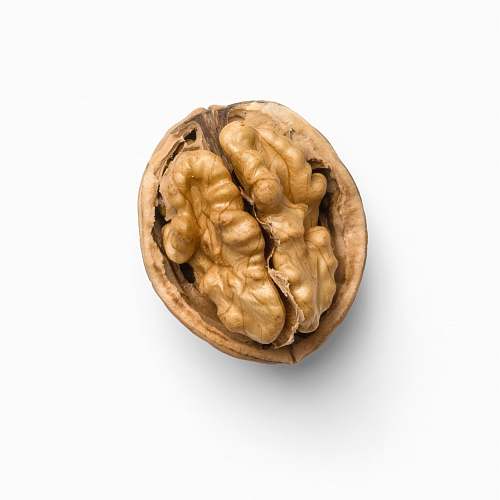 nut  walnut