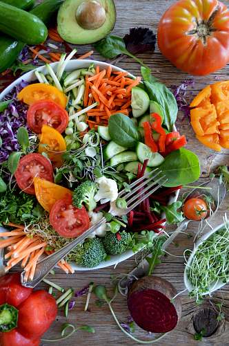 orange vegetable salad plant