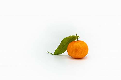 plant orange tangerine fruit citrus fruit