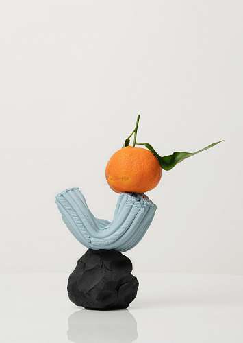 plant shallow focus photo of orange fruit citrus fruit