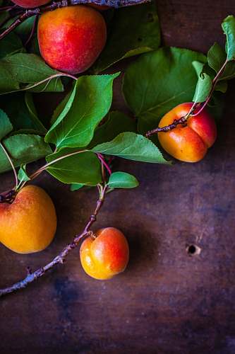 apple red apple fruits on brown surface fruit