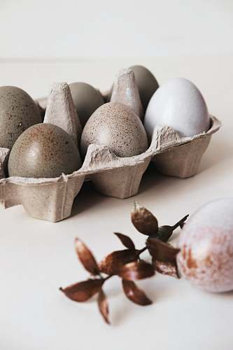 flora six gray poultry eggs on brown tray food