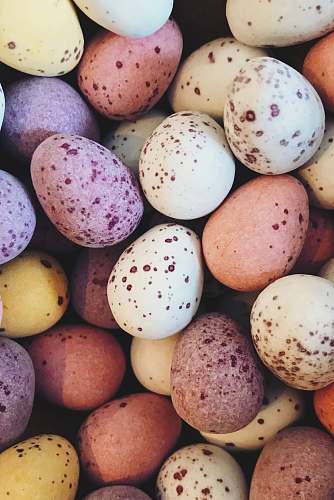 london assorted egg lot united kingdom