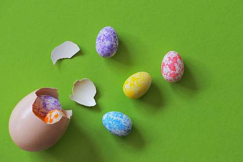 egg cracked egg with small eggs break