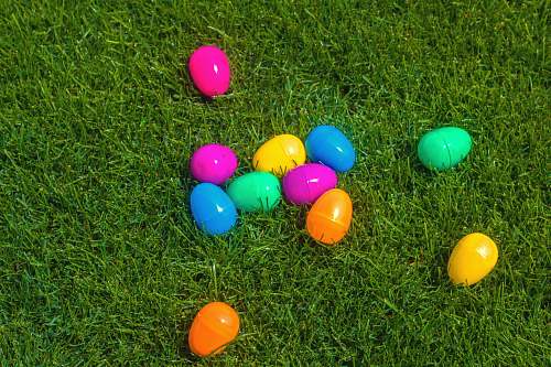 grass assorted plastic egg containers easter egg