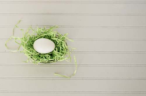 easter green lace basket green