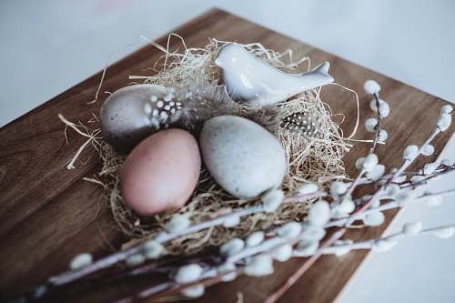 easter low light photography of three decorative eggs on nest warsaw