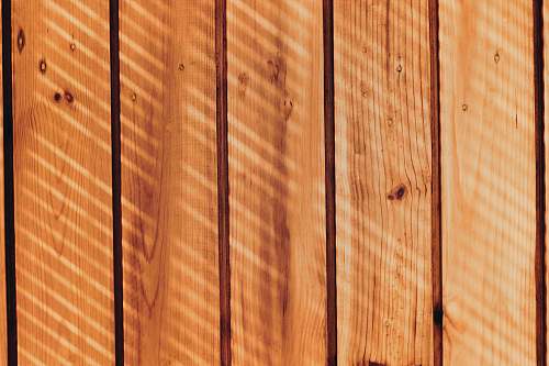 pattern  sunlight