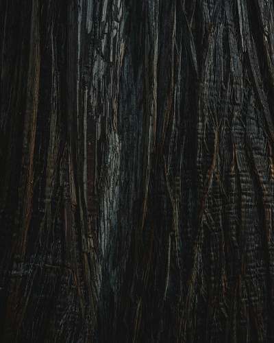 hardwood black and gray textile black-and-white