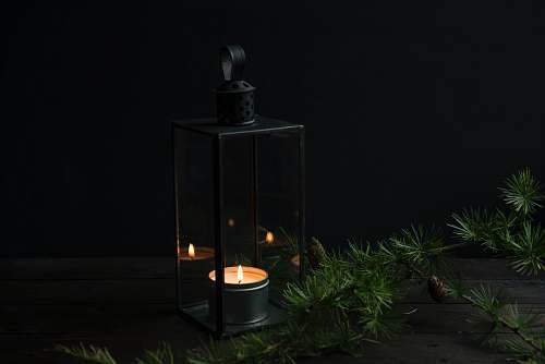 flora lighted candle inside black lantern holder jar