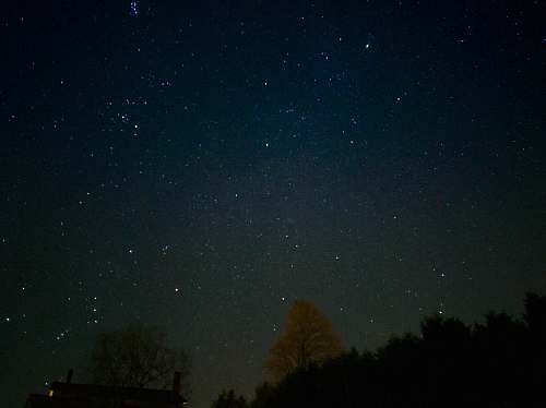 outdoors stars and forest astronomy