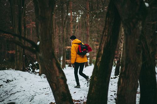 person standing on snow surrounded by trees