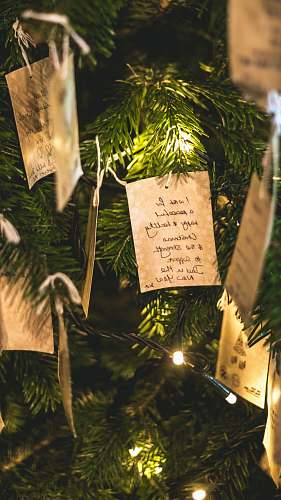 tree beige and black Christmas tree decor text