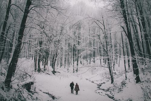 two person walking on snow