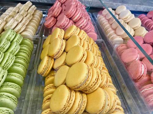 shop macarons lot plant