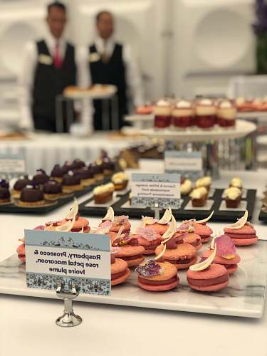 shop raspberry, rose petal macaroons human