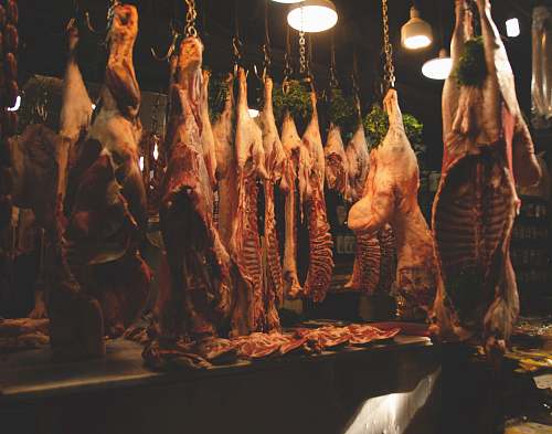 shop meat lot butcher shop