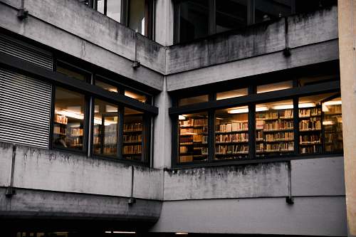 bookstore white and gray concrete building book