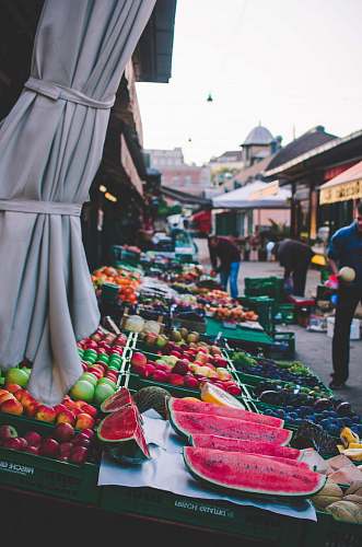 person shallow focus photography of assorted fruits on black table human