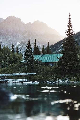 mountains green leafed tree near body of water landscape