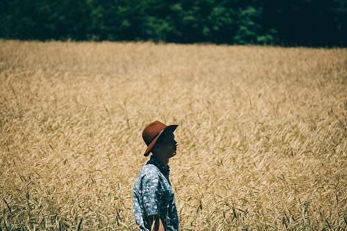 human man standing at wheat field people