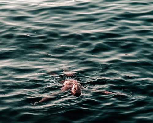 water man swimming backwards on body of water croatia
