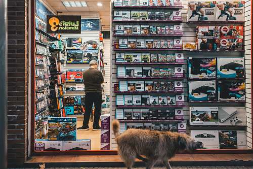 person brown and gray dog walking in front of store human